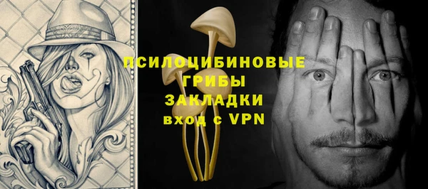 гидра Вязники