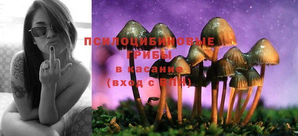 прущая мука Сафоново